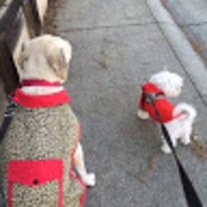 Meet your Posher, Oli